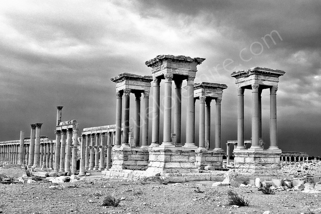 Palmira, Siria 2006