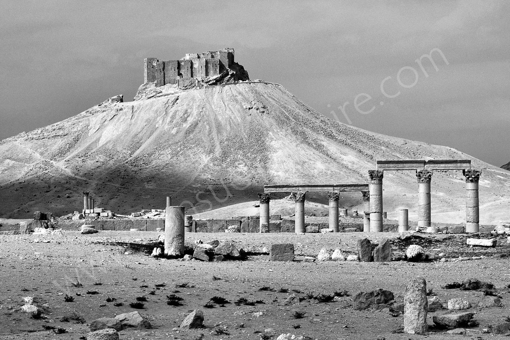 Palmira, Siria 2006